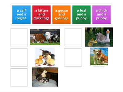 EF intermediate plus 