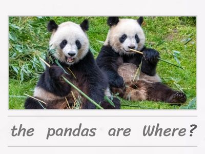 Unscramble - In On Under Near