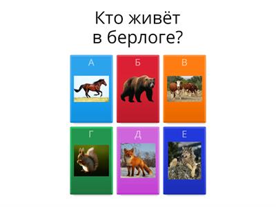 Жилища животных