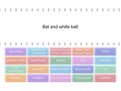 Match the words to descriptions 