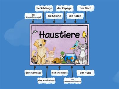 Haustiere