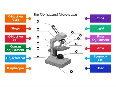 Label a microscope