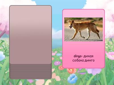 5 Form. Unit 8. Countries and continents. Lesson 3. Vocabulary