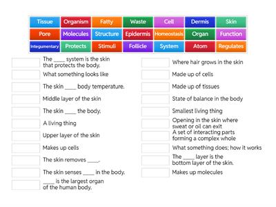 Integumentary System