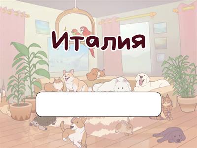 Города Страны Языки