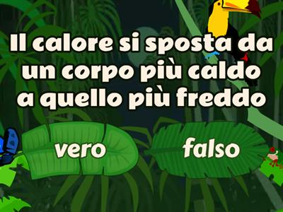 CALORE E TEMPERATURA 2