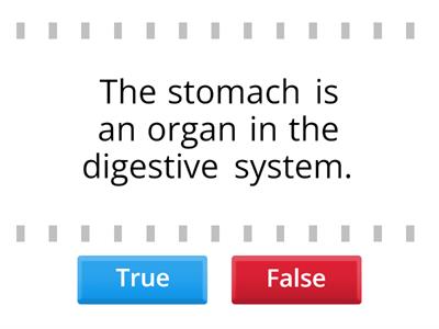 Structural Hierarchy True or False