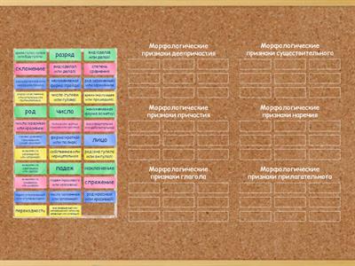 Морфологический разбор частей речи