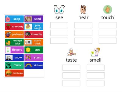 Five Senses Group Sort