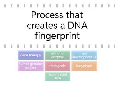 Genetic Technologies Find the Match