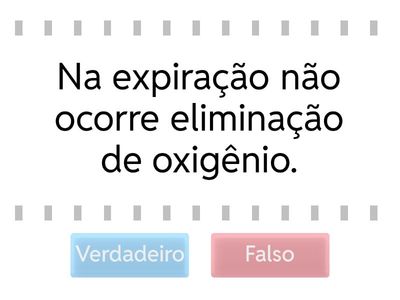 Aula online  Sistema respiratório