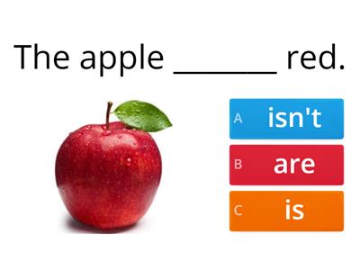 Verb to be - AFFIRMATIVE/ NEGATIVE / INTERROGATIVE