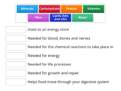 Match-Up Nutrition