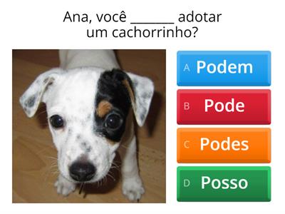 Rio & Learn: VERBO PODER