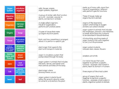 Levels of Organization