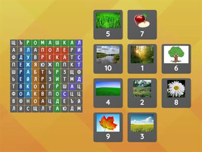 Познание мира