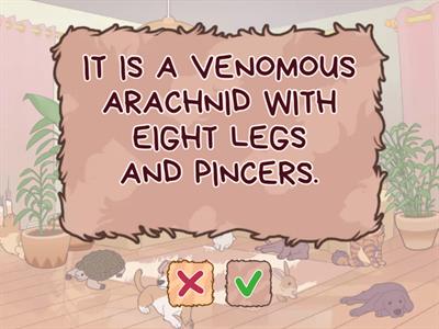 100 days of school- animals- PART 5