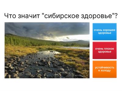 Точка Ру А2.1 2.1 Языки мира