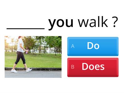  Present Simple Do/Does