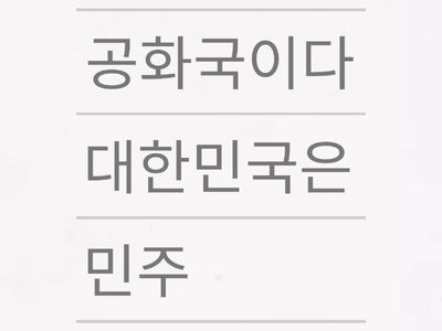 대한민국헌법