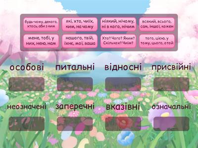 6 клас НУШ Розряди займенників