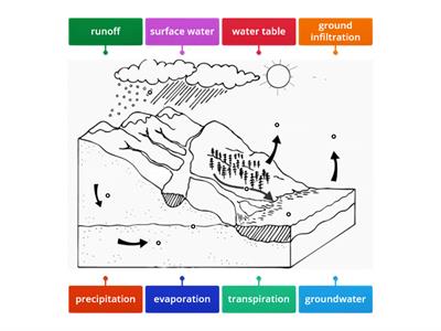 Groundwater & Surface Water Diagram