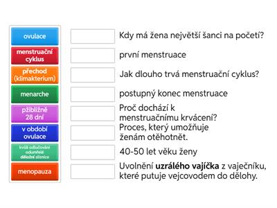 Menstruační cyklus