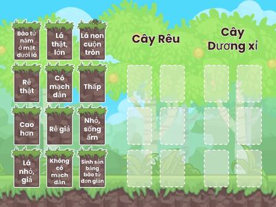 So sánh cây Rêu và Cây Dương xỉ