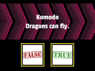 Komodo Dragons T/F