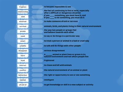 Impact 1 Unit 4 Vocab