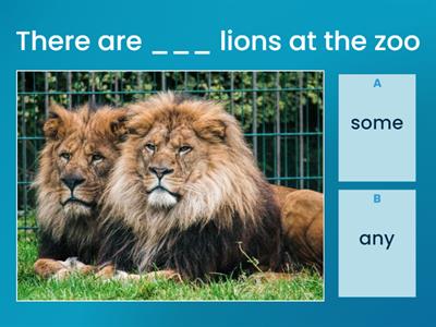 Some/any (there are/there aren't)