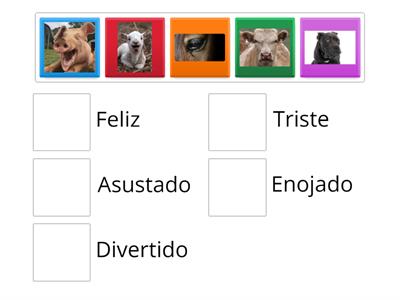 Animales de la granja y emociones