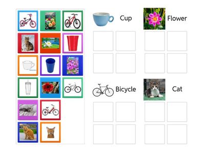 Nonidentical Item Sort