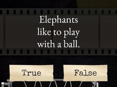 Facts about elephants