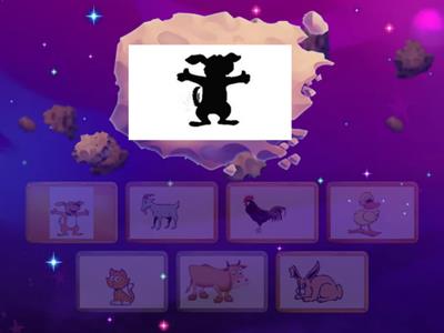 "Знайди тінь" домашні тварини та птахи