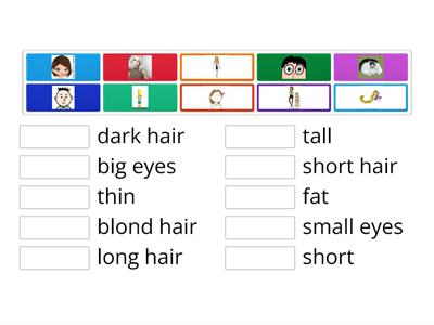 Fat, thin, short, tall, big/small, hair