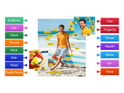 [1-2] Unit 12 - Parts of the body 2