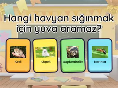 Okul Öncesi Eğitim