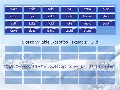 Sort the Words into these two categories 