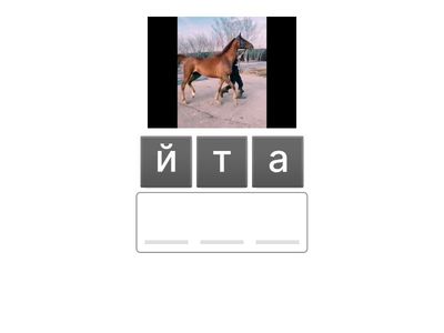 Й дыбысы 51 саб