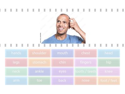 Parts of the body - ESL Beginner