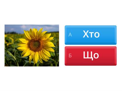 Вікторина: Хто? Що?