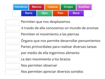 Partes del cuerpo 