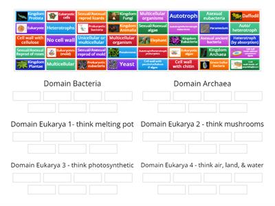 Domain Classification of Living Things