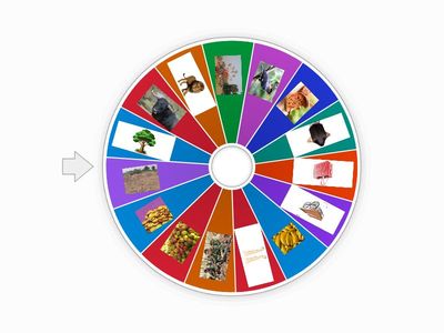 ए/ऐ की मात्रा - सही उत्तर चुनिए 