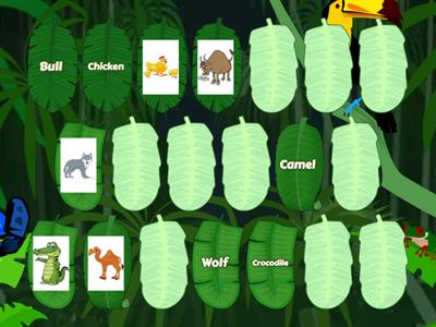 Animals Memory Game