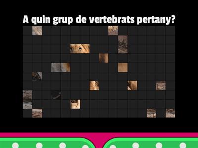 A quin grup de vertebrats pertany?
