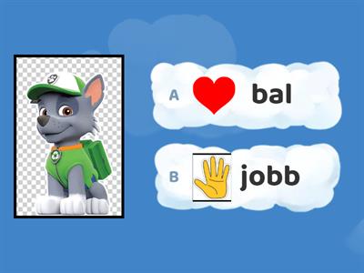 Merre néznek a kutyusok?