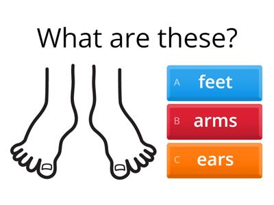  Body parts quizz