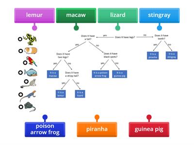Flow chart - Teaching resources
